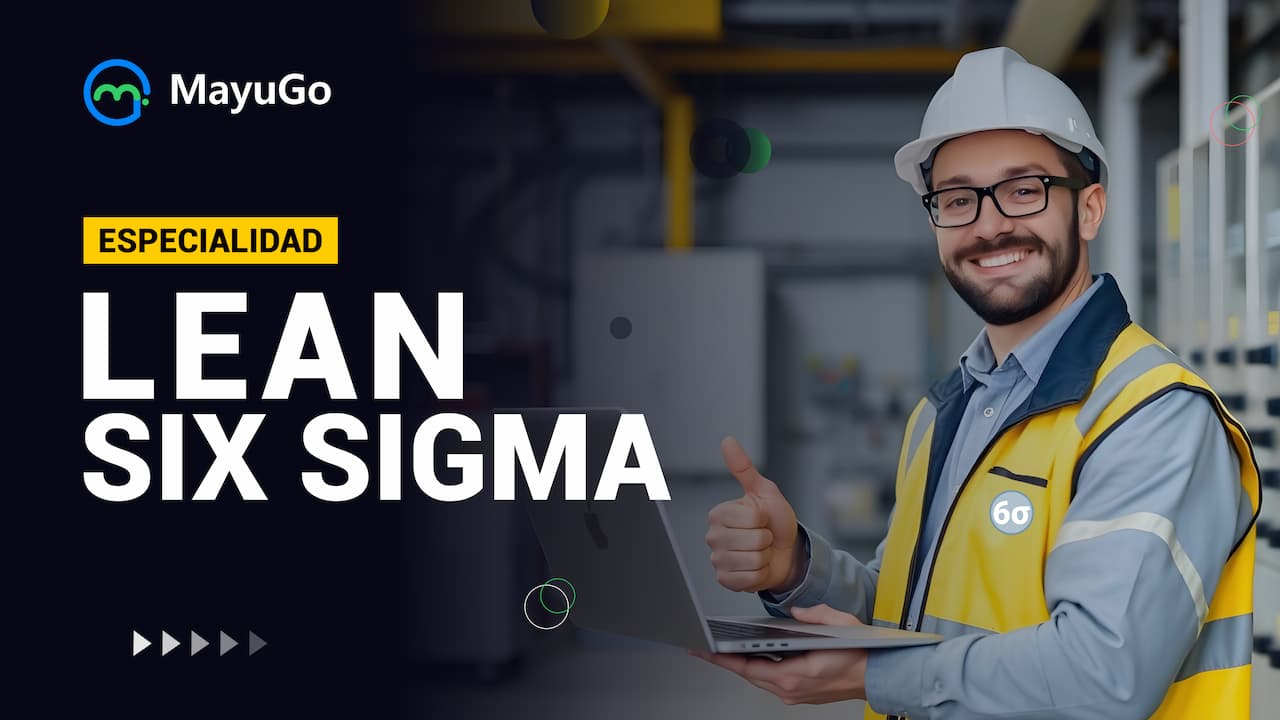 Lean Six Sigma